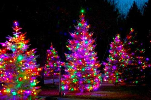 133016847_10224896113893238_8275244851309906041_n