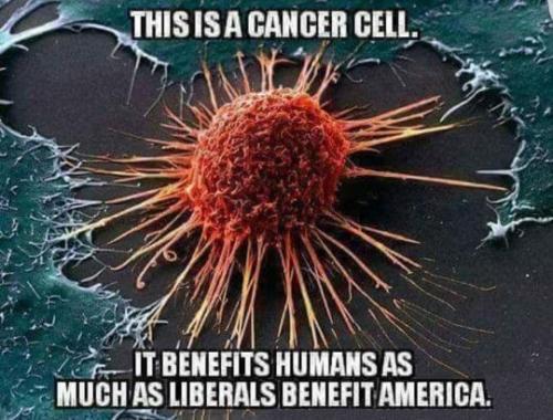 zlibtards262