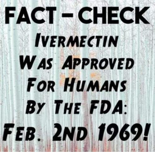 fact check this