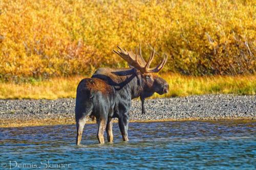 170701269_1764893610385488_2807353577901796871_n