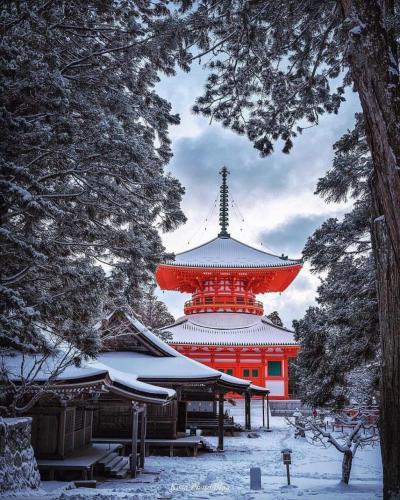 268764064_457461419083199_7037893292432324998_n