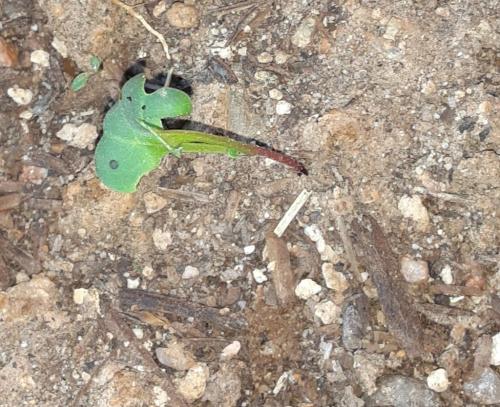 17:07:04 GMT-0700 (MST)