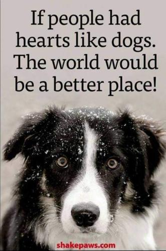 FB_IMG_1639243728666