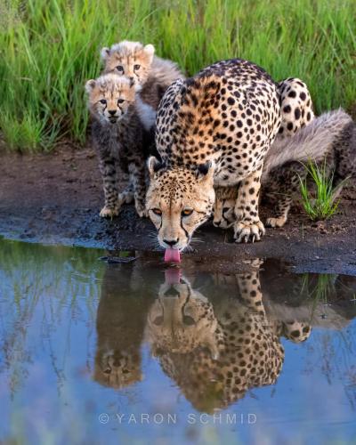 269818860_439806564260934_8630796667953946323_n