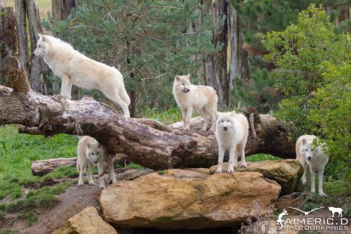 263558263_4520442428005238_3109020070774689154_n