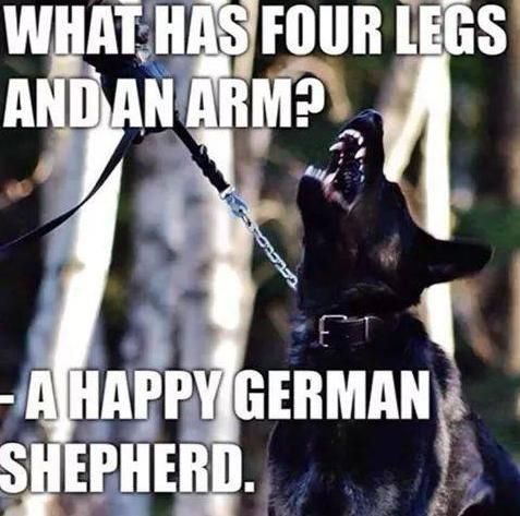 12:04:56 GMT-0600 (CST)