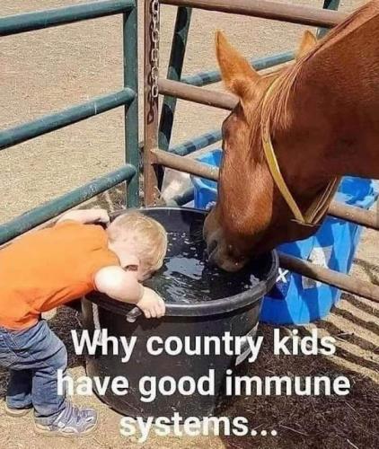 263065829_131694079281990_5504976871730525709_n