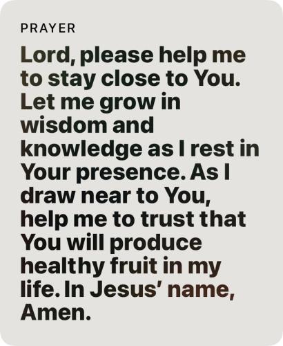 11:00:19 GMT-0600 (CST)