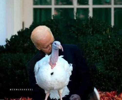 biden turkey