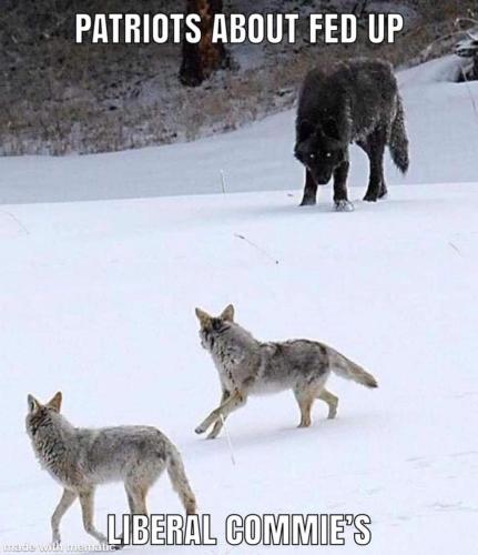 FB_IMG_1639969011600