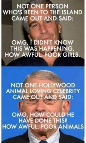 FB_IMG_1638570015712