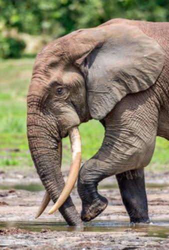 267721303_1725509587648384_5780548375145513605_n