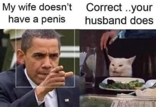 penis wife cat