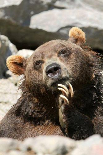 13254433_10204673302112637_4003279991814597600_n