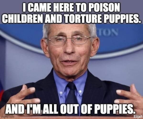 out of puppies