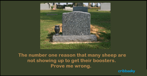 buried_booster_no-shows