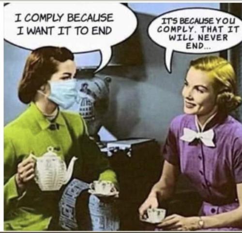 IMG_20211207_213545_352