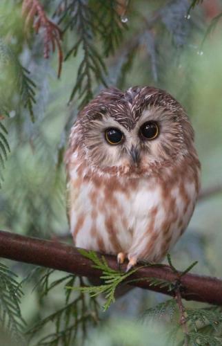 tumblr_d9086fb958b2f83cb157f8cb26295b24_f05b47bb_640