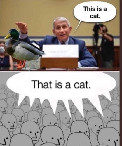 FB_IMG_1638580855928