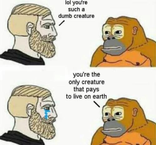 86e14fb1bc8a7423083_f577b3d2_1280