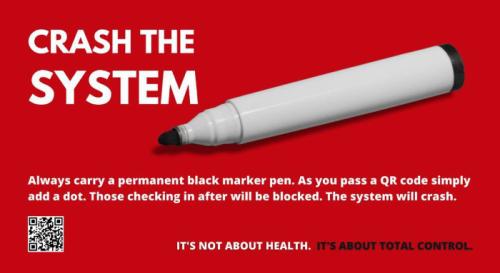 CRASH-THE-SYSTEM-PLANDEMIC-700