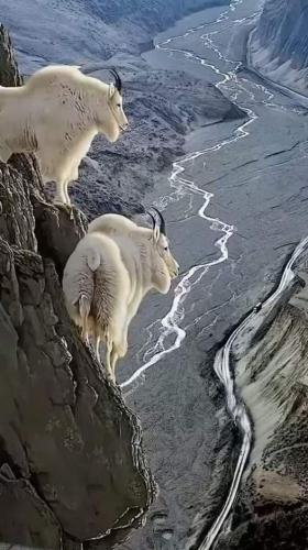 269967421_655241915501791_2800549757863284112_n