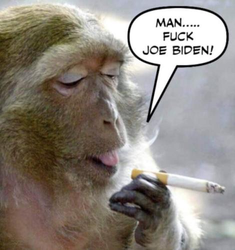 fuck joe biden37