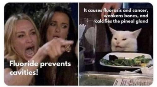 photo_2021-12-18_14-24-42