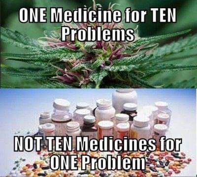 FB_IMG_1636889926207