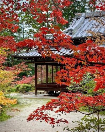 266956264_1869278026613826_3563972452082444325_n