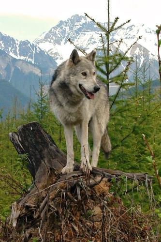 bb23a455905978f86d1243c32dc59390