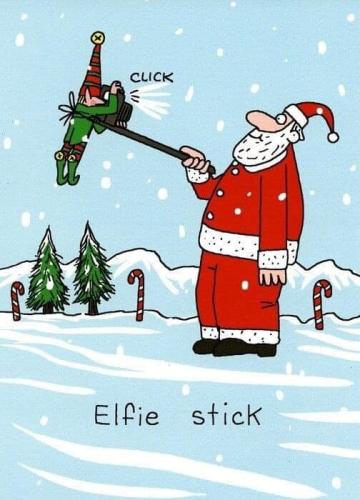 elfie stick
