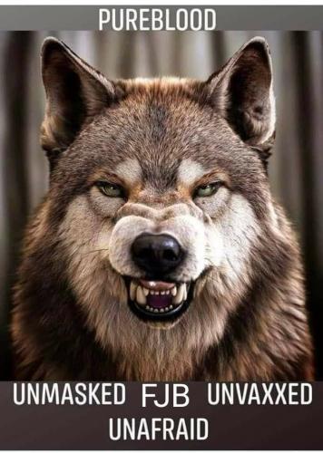 FB_IMG_1640656152395~2