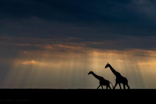 269794091_439806534260937_2050186233178733975_n