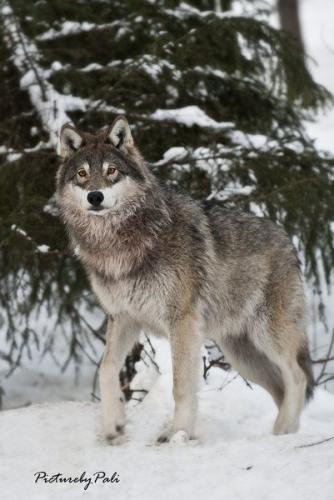 64fdfa19766d7c0dd77ef9586adcb86d