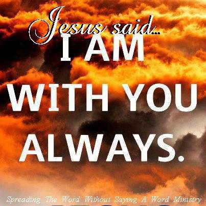 403488_385135554901915_2084921947_n