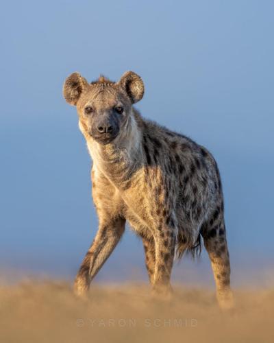 251575534_3031241787123725_5170334073253329060_n