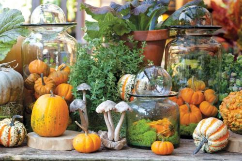 dab8383cb8665a711180ca46ab3b3a89