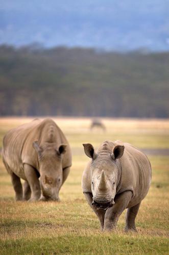 269606834_1726844204181589_2182962295136546704_n