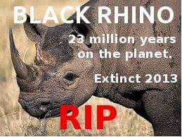 22:46:50 GMT-0600 (CST)