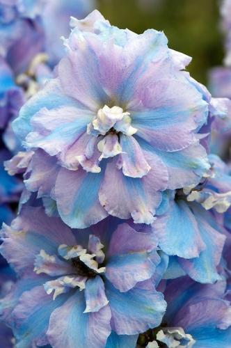 19:34:11 GMT-0600 (CST)