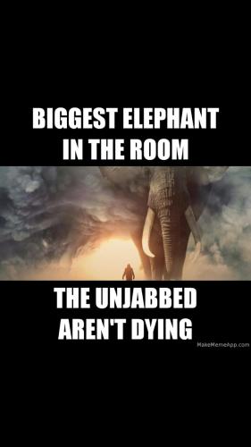 Screenshot_20211203-175639_Wimkin Uncensored