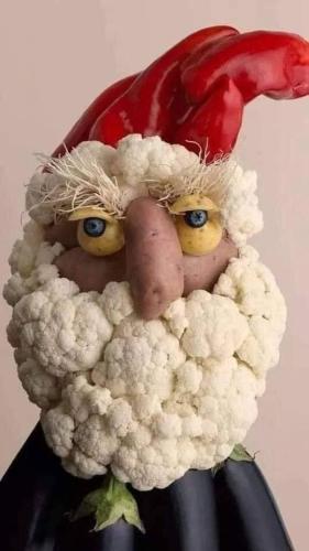 263169977_2985544191696115_6197067898337415560_n