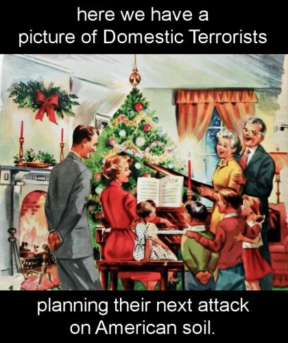 domestic terrorists00