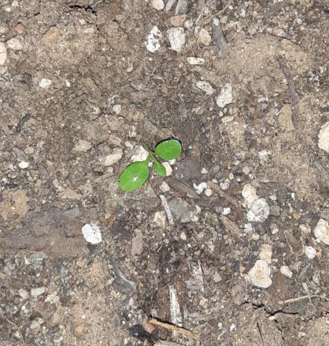 17:07:04 GMT-0700 (MST)