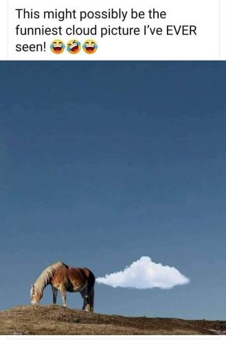 FB_IMG_1639797195462