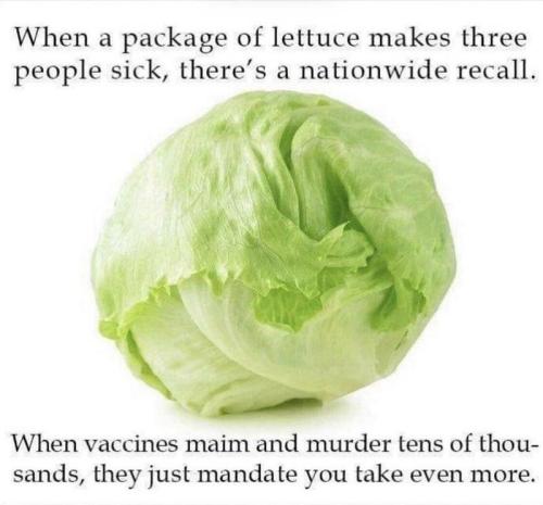 image_1638632117.559