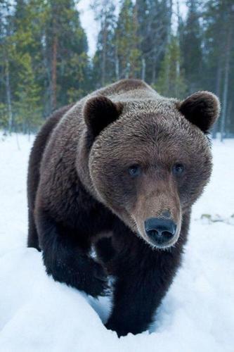 269775003_1728877807311562_94650805554442556_n