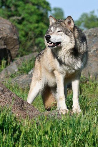 269764003_1728877837311559_450150097013295717_n