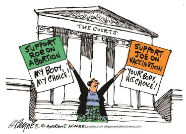 payn_c18699520211209120100-375x275